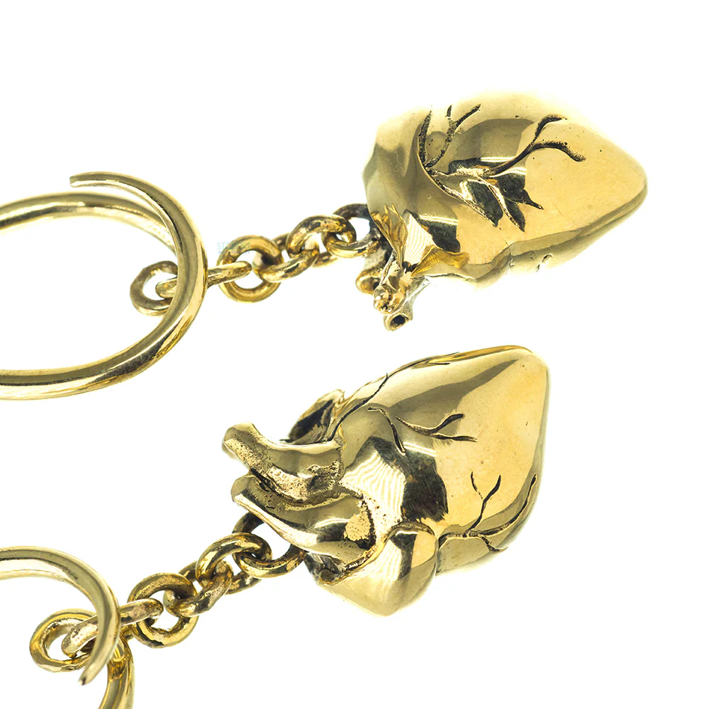 Anatomicas (Anatomical Heart) Hangers - Image 3