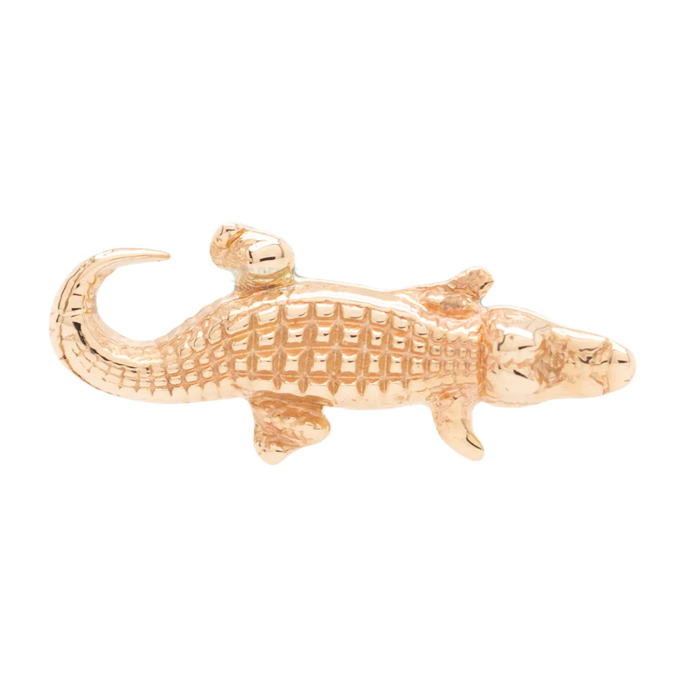Gator Threaded End in Gold - Image 3