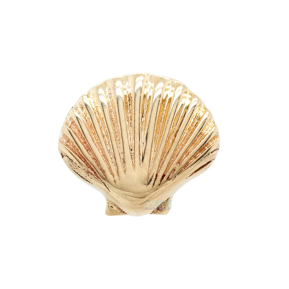 Seashell (Scallop Shell) Threaded End in Gold & Platinum - Image 3