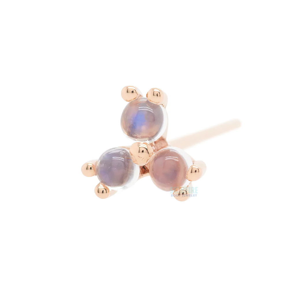 Tri Prong Cabochon Cluster Nostril Screw in Gold with Rainbow Moonstone