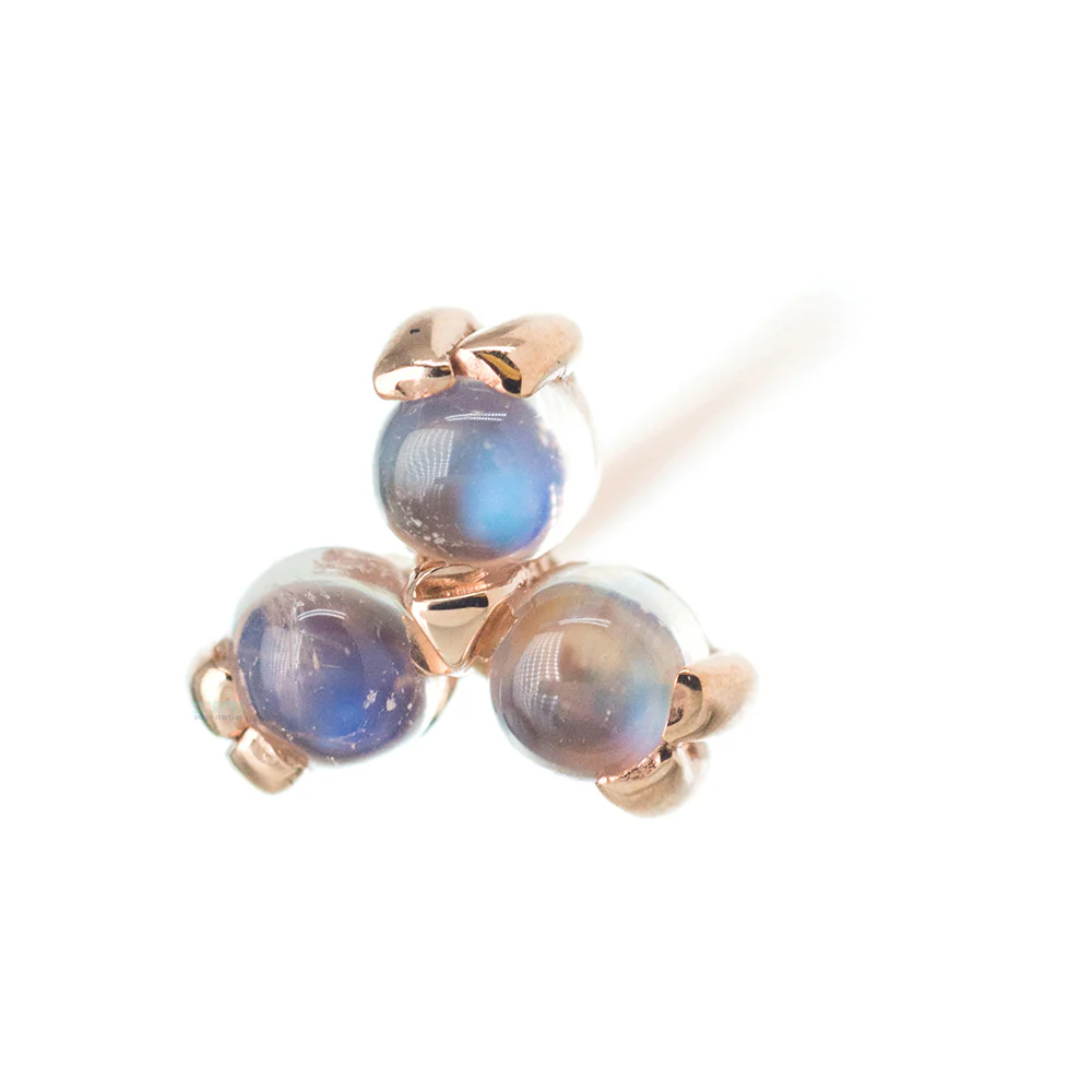 Tri Prong Cabochon Cluster Nostril Screw in Gold with Rainbow Moonstone - Image 3