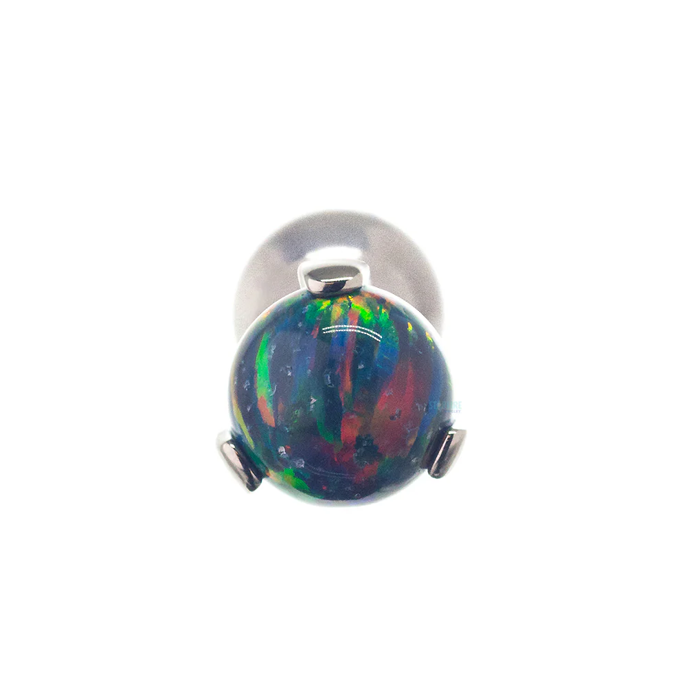 Opal Ball in Prong's Tongue Barbell - Image 29