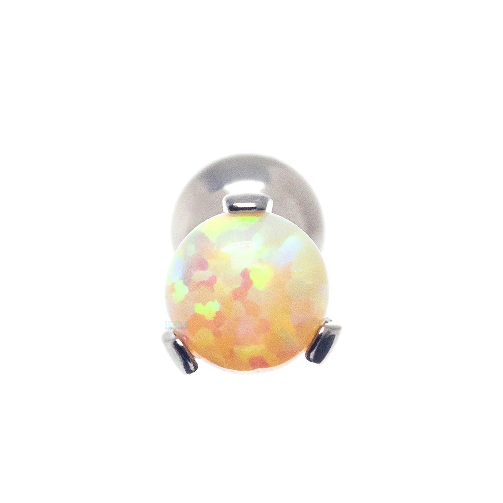 Opal Ball in Prong's Tongue Barbell - Image 35