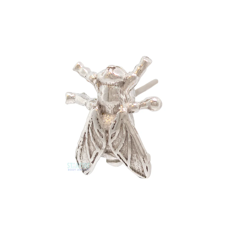 threadless: "Buzz" Pin in Gold