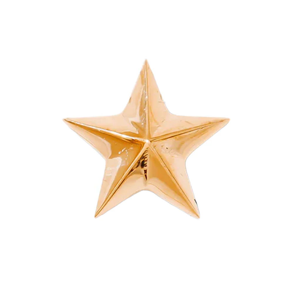 threadless: Nautical Star Pin in Gold - Image 4